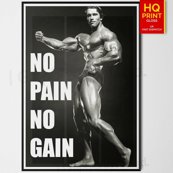 Арнольд Шварценеггер постеры 90-х