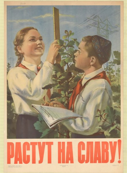 Шаблон для школьного коллажа