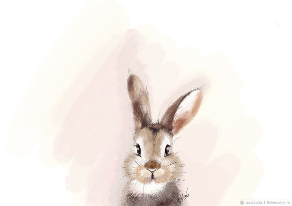 Постеры про Зайцев