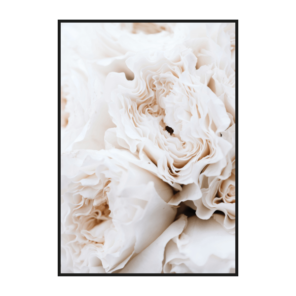 Постер "бежевые цветы"