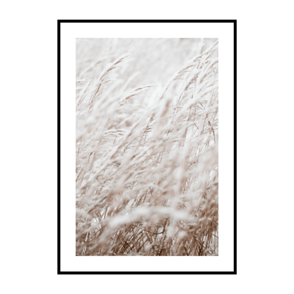 Постеры в бежевых тонах для интерьера