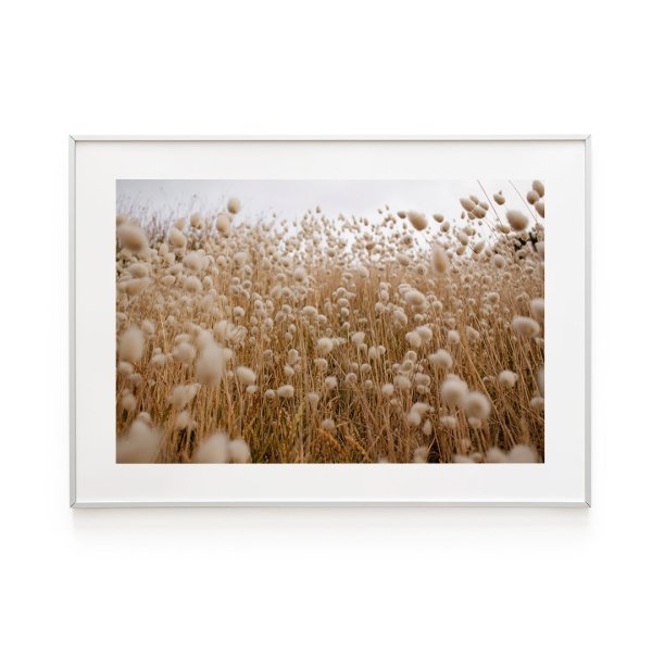 Постер нейтральный