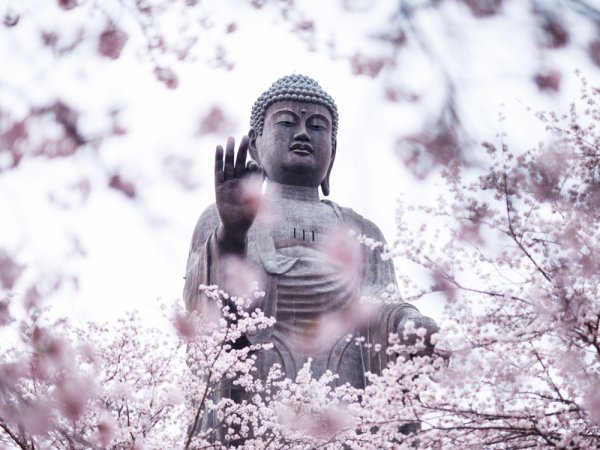 Будда арт Постер