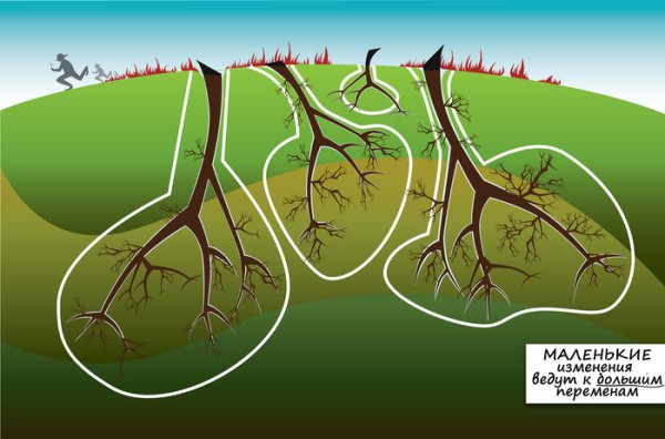 Итоги конкурса городской экологический конкурс «эко-превращение»