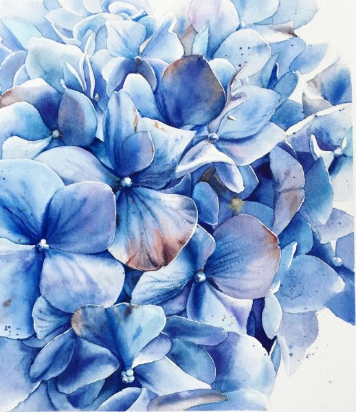 Юлия Барминова акварель