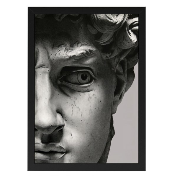 Давид Микеланджело Постер арт