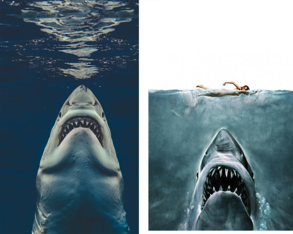 Акула МЕГАЛОДОН