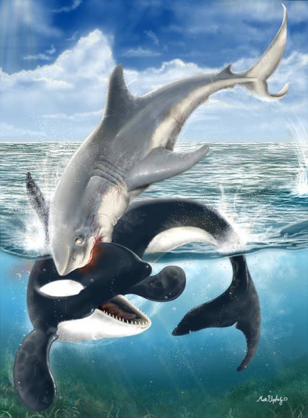 «Челюсти» (jaws 1975, Режиссёр Стивен Спилберг)