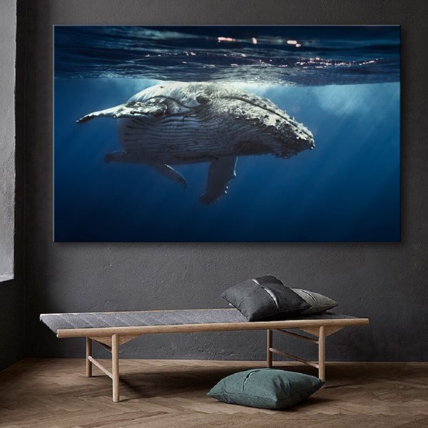 Челюсти 2 Постер