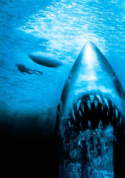 Песчаные акулы фильм песчаные акулы фильм