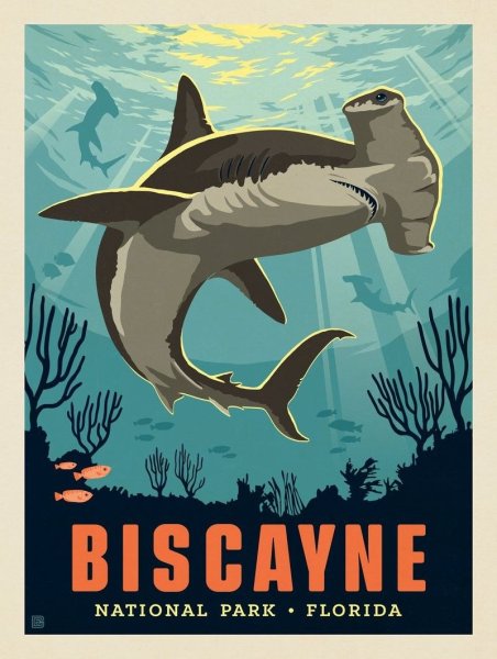 Jaws 1975 Постер