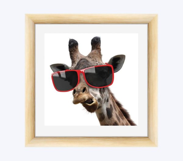 Реклама очков