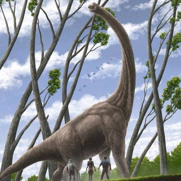 Сражения динозавров Велоцераптор