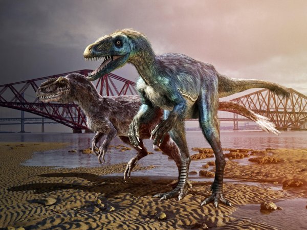 Bbc прогулки с динозаврами 3