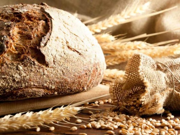 Модульная картина хлеб