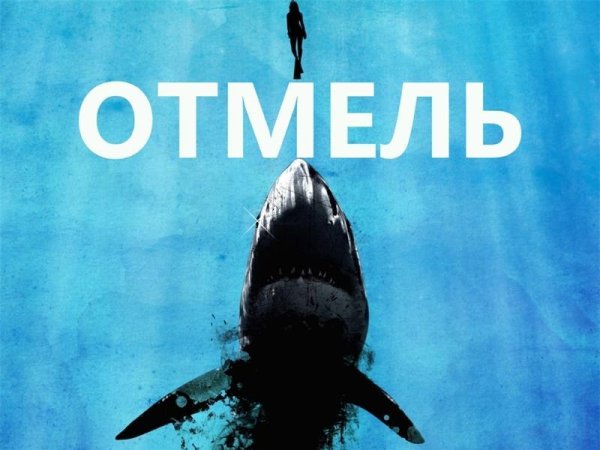 The shallows 2016 Блейк Лайвли