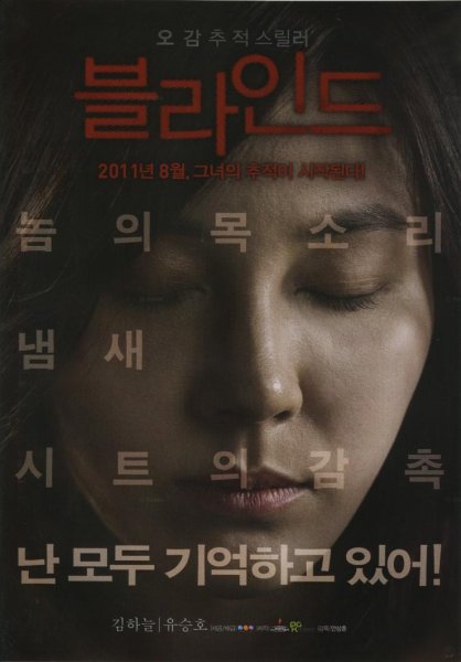 Слепая дорама 2011