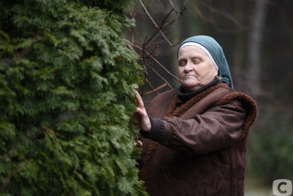 Слепая фильм 2020