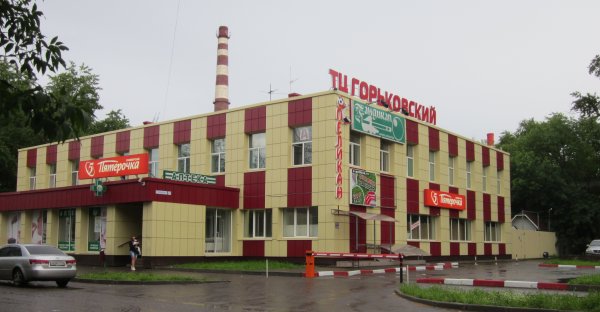 Профилакторий Электросталь