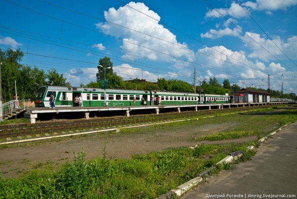 Геннадий Панин выборы в Госдуму