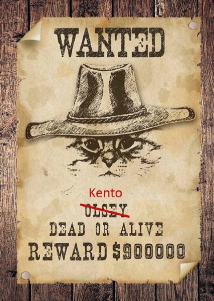 Плакат о розыске в стиле дикого Запада