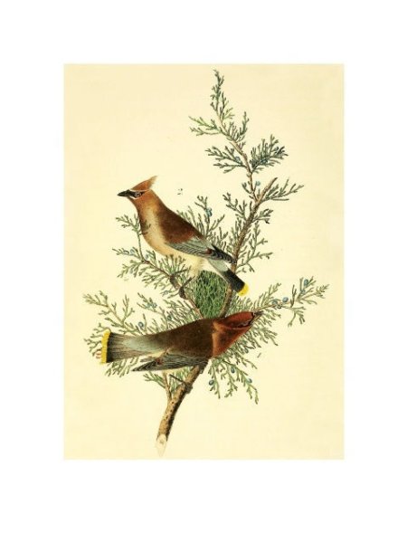 Постер Даринчи а4 №10