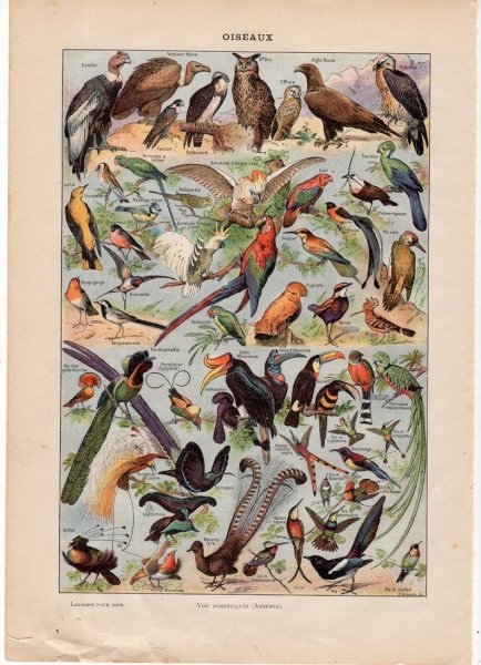 Постер с паспарту