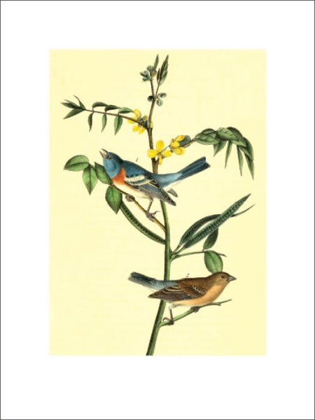 Набор постеров а4 3 штуки №1