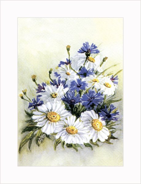 Ботанические плакаты