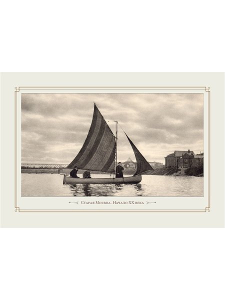 Ромашки и васильки