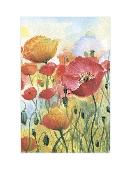 Постер Даринчи