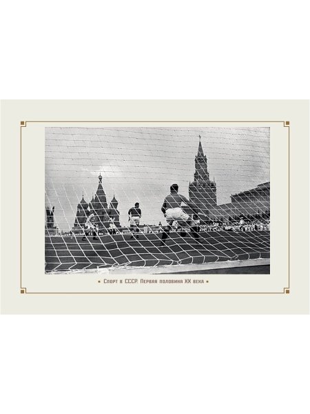 Одуванчик лекарственный Ботаническая иллюстрация