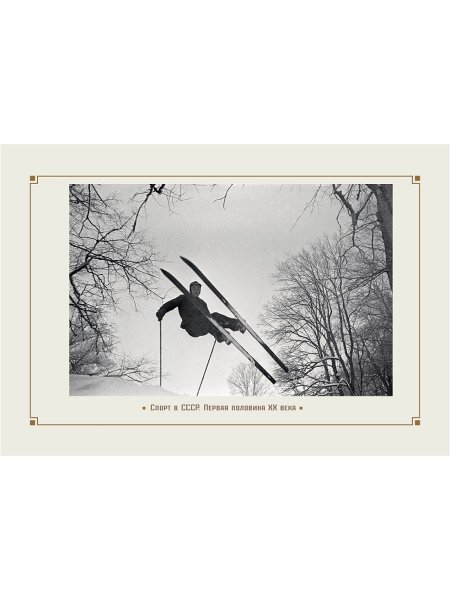 Строение стебля шиповника