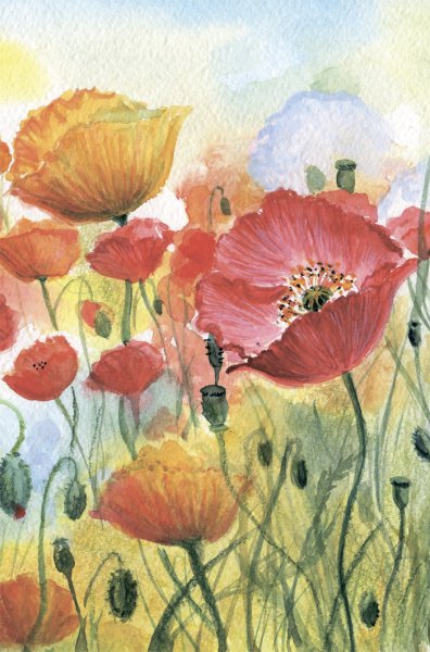 Постер Даринчи ботаника