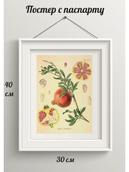 Вышивка крестом ирисы