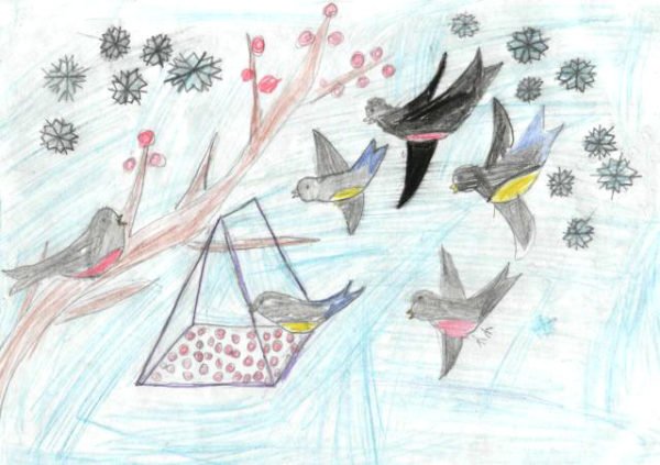 Синичкин день рисунки детей