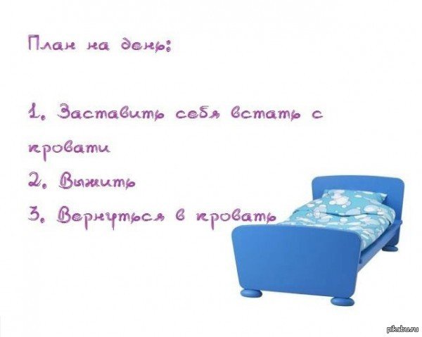 Смешные планы на день