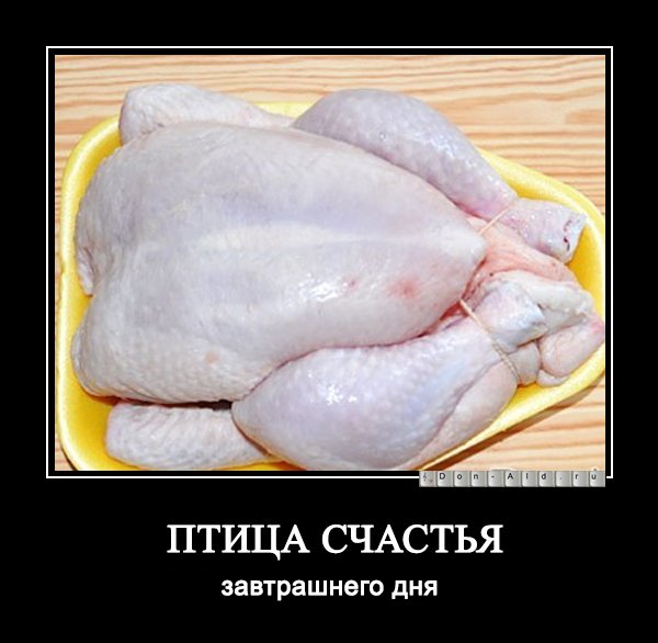 Птица счастья завтрашнего