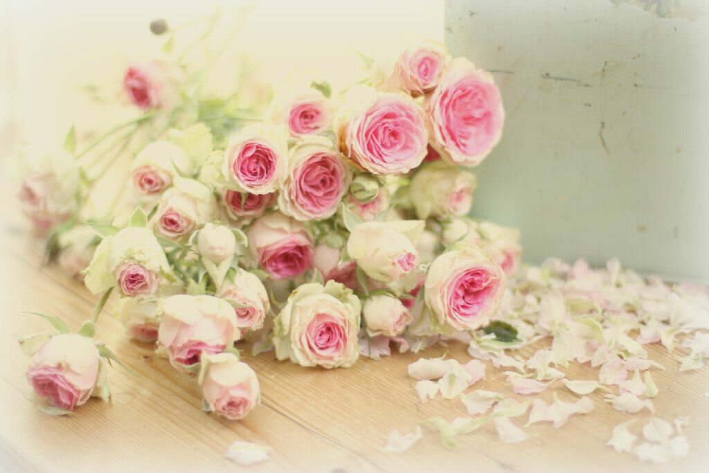 Очень нежное поздравление. Красивые нежные цветы. Нежный букет на день рождения. Нежный цветок. Букет нежных роз.