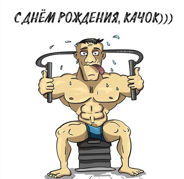 Поздравления с днём рождения качку