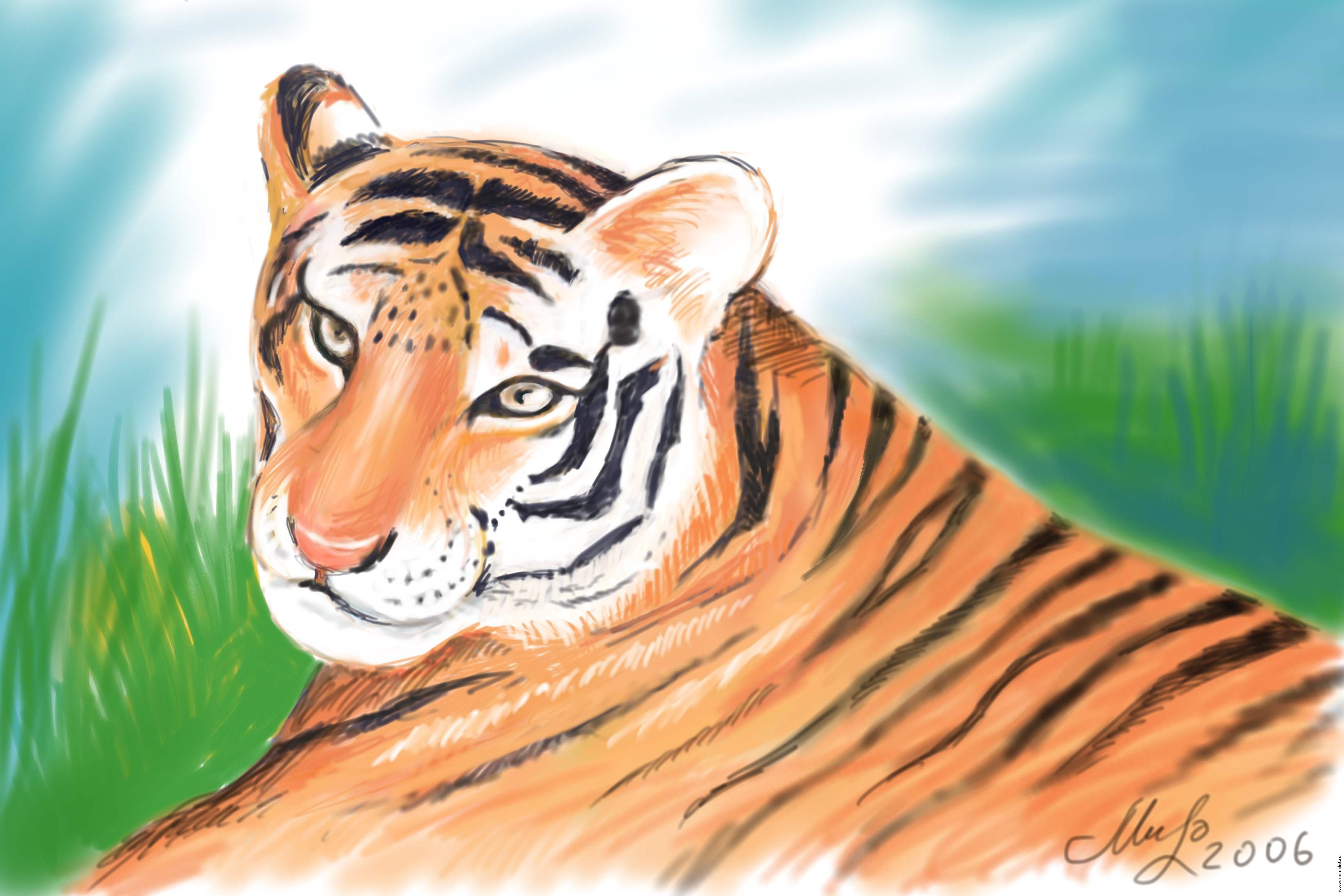 Рисунок туранского тигра