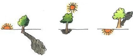 Тень от дерева утром днем и вечером