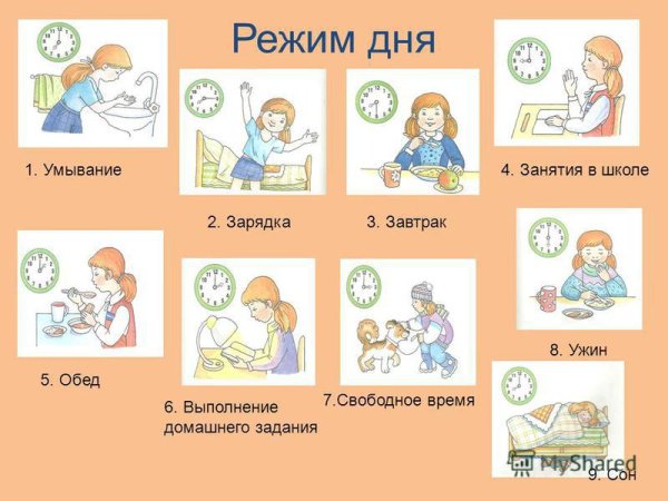 Режим дня школьника задания