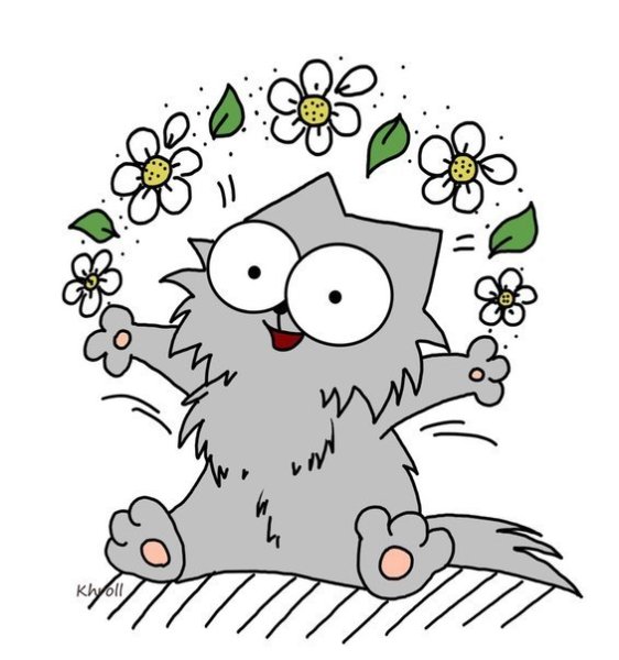 Кот Саймон с днем рождения