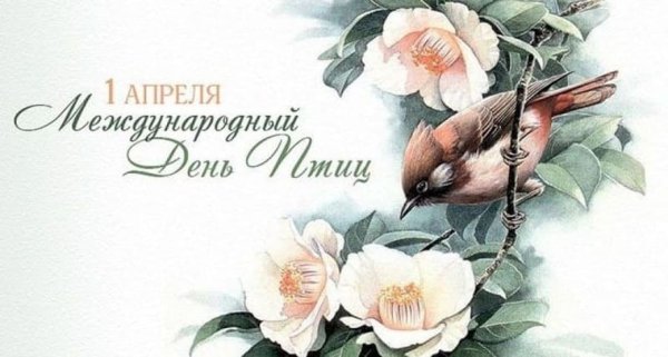 1 Апреля Всемирный день птиц