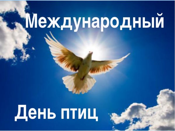 Всемирный день птиц