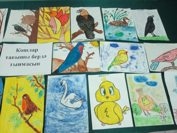 Выставка рисунков птицы