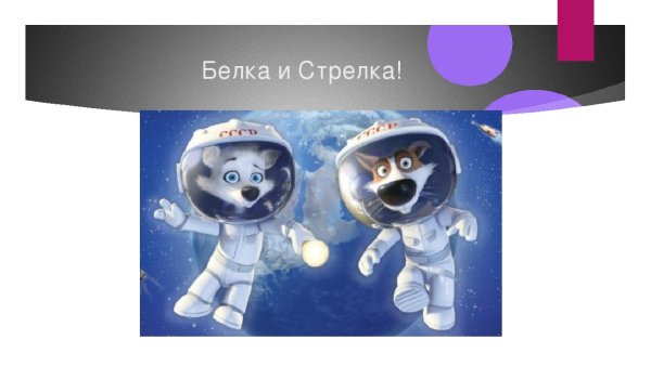 Белка и стрелка в космосе