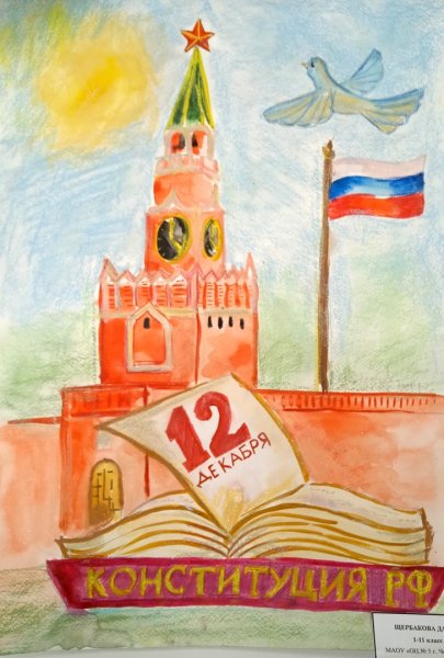 Конституция рисунок на конкурс