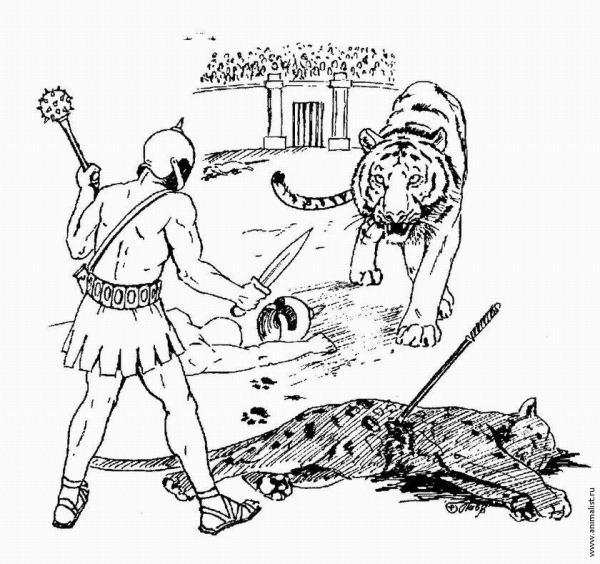 Гладиатор раскраска